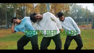 Pehle Bhi Main - Animal Movie song | VT Brother's | Dance Video