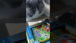 Cat Mishty, do you love your VTech Musical Rhymes Book with those 5 colorful piano buttons? #cat