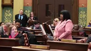 Rep. Brenda Carter on Budget Package -DHHS