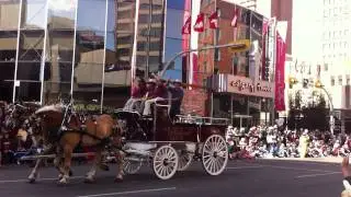 calgary stampede