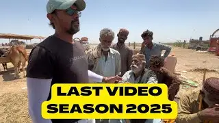 Last Video Season 2025 Ends. Eid Day 3 Part 2. Northern Bypass Mandi