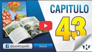 Diseño de Revista CorelDRAW para imprenta 100% de inicio a fin Capitulo 43 Pag 1 con JuanKING