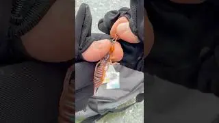 Лучший зимний монтаж Часть 1 #рыбалка #fishing
