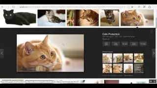 The BEST Capture Page Creator- How to creat a capture Page