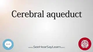 Cerebral aqueduct   Anatomy of the Brain   SeeHearSayLearn 🔊