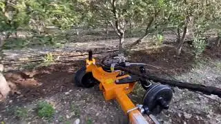 How to Ecological Weed Control for Arbequina Olive Trees ? Watch the Best Interrow Tiller.