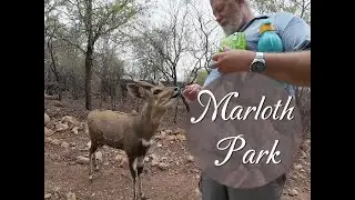 Marloth Park in Mpumalanga. A holiday village for bush and wildlife lovers.