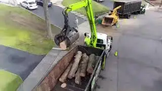 JBS Tree Service Toms River, NJ