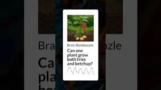 Can one plant grow both fries and ketchup? | Brain Bamboozle