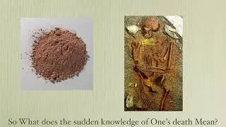 Evolutionary Origins of Religion