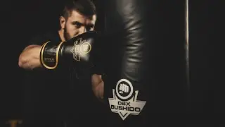 Warum sind ProFighter Boxhandschuhe die Wahl der Profis? | DBX Bushido