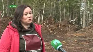 ИТЕКА. Мы на телевидении