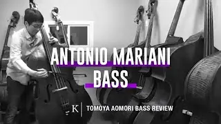 Kolstein Bass Review Playing evaluation of the Antonio Mariani Bass Violin1080p