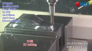 DHF_BTG0602-G13