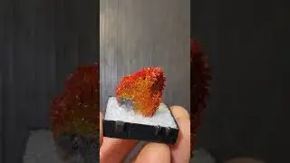 Lustrous Red Vanadinite from Arizona - DallasStoneworks.com