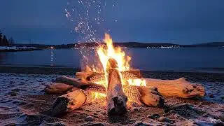 Beachside Shoreline Bonfire | Calming Flames & Nighttime Serenity