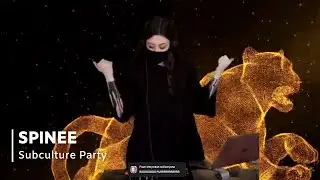 SPINEE live at Subculture Party