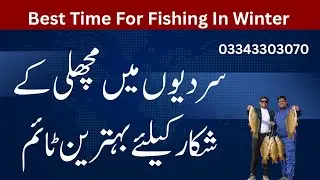 Best Time For Fishing In Winter || Best Bait For Fishing In Winter || NQ51 