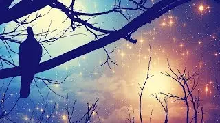 Письмо Камушку №3