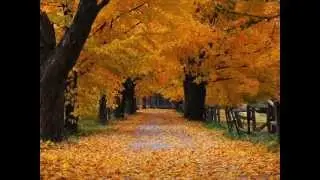 Ottobre Rosso - Negramaro