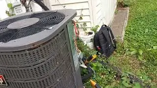 Ants crawling around AC controls