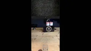 Live with Coin Curiosity - LS30