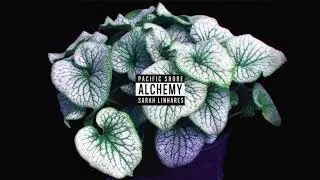 Pacific Shore - Alchemy (feat. Sarah Linhares)
