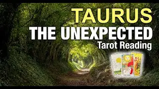 TAURUS THE UNEXPECTED 