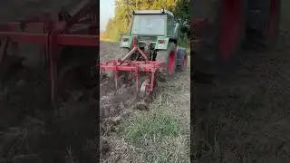 Fendt Farmer 306 LS. 2025. Fortschritt.   B365
