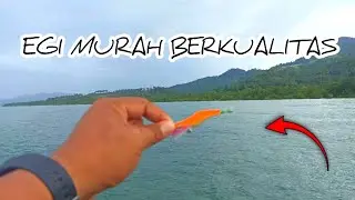Egi Harga murah berkualitas || Mancing cumi Di dermaga sore hari ❗❗