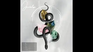 jewels // p. mxceo