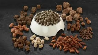 Purina Pro Plan High Protein Dog Food Review || Best Dog Food || Hight Protein Dog Food