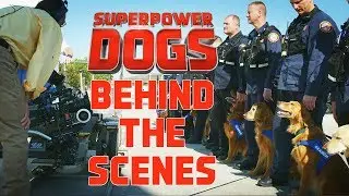 Filming Cosmic Picture&rsquo;s 3D IMAX original movie: Superpower Dogs