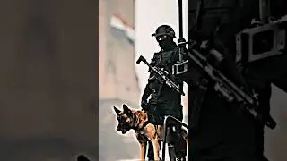 NSG BLACK CAT 🖤🥵 COMMANDO ❣️🇮🇳 NEW STATUS 🥰🥀|#commando#status #defence