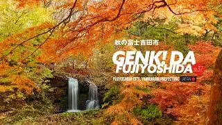 ［広報ふじよしだ］元気！だふじよしだ12月号は富士吉田市の紅葉です。是非ご視聴ください。