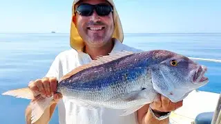 P&ecirc;che Palangrotte Denti, Pagre et M&eacute;rou &agrave; Hammamet Tunisie | Slow Jigging Technique