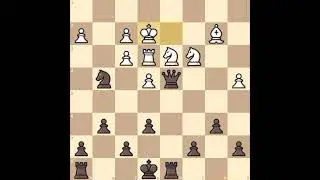 Positional chess concepts for beginners and Intermediate player's master class By Gukesh Dommaraju 