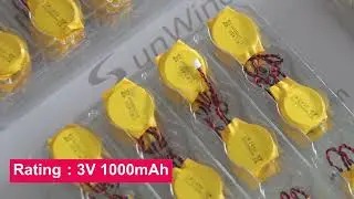 CR2450 3V 600mAh Coin Button Cell BATTERY with Wire and Connector