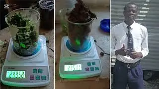Pulp Paper Biogas YSK project