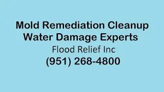 Mold Remediation Cleanup Corona CA | Water Damage Experts