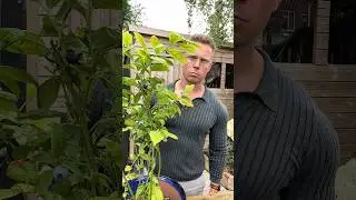 Baker vs gardening #gardening #baking