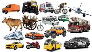 Police, School Bus, Ambulance, Train / Learn Vehicle and Vehicle Names