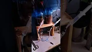Sprawdzamy wylęg 🤟 #akwarystyka #akwarium #jedzenie #ryby #artemia #diy #diyprojects #diycrafts