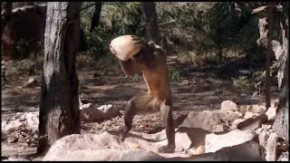 Nature is Awesome - Eternal Life Fan Club