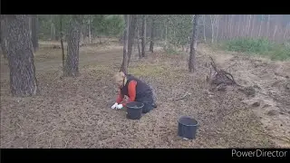 Jak wymyśliłam, tak zrobiłam - po co mi szyszki ?
