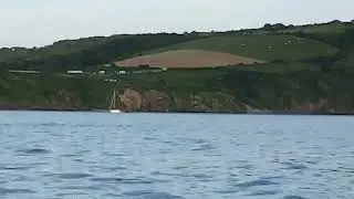 Potential Orca sighting off Plymouth