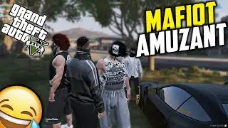 Ce rasa este catelul de usutori | 😂 *Mafioti Imbecili*