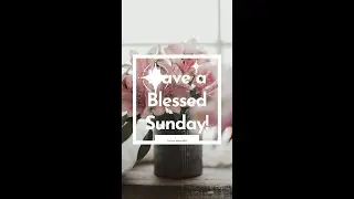 Happy Sunday Wishes I Have a Blessed Sunday #sundaywishes #sundaymotivation #sundayworship