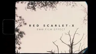 Mastering Vintage Charm: RED Scarlet-X 8mm Film Effect Tutorial Teaser
