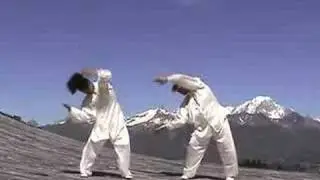 Wutao -D&eacute;crocher la Lune